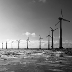 Windkraftwerk, Dänemark Foto: COWI, Denmark